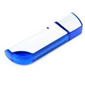 USB stick 1000 USB stick 1000